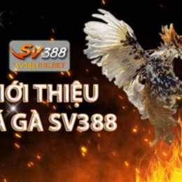 sv388 link đá gà thomo asia