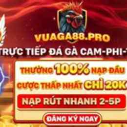 sv888 đá gà đơn trực tiếp