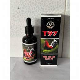 t97 gà đá