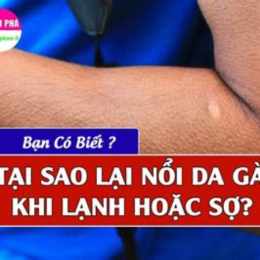 tại sao cổ nổi da gà