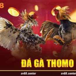 tải trang đá gà sv388