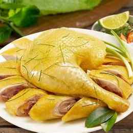 thịt gà luộc để ngăn đá được bao lâu