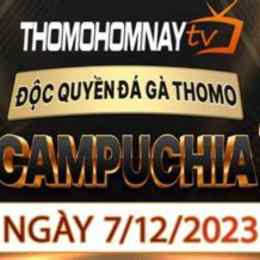 thomohomnay | trực tiếp đá gà thomo hôm nay