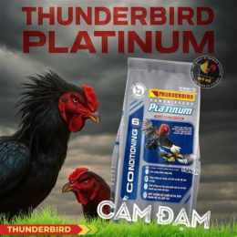 thức ăn gà đá platinum