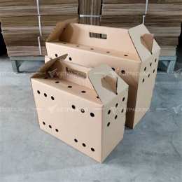 thùng carton đựng gà đá