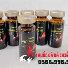 thuốc chích tăng bo gà đá