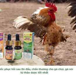 thuoc dung cho ga da