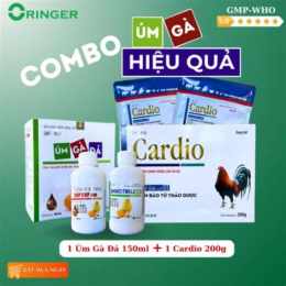 thuốc gà đá bộ lớn