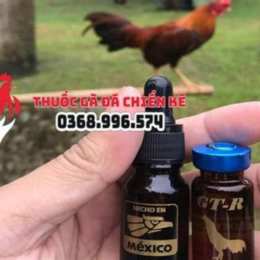 thuốc gà đá cardoxin