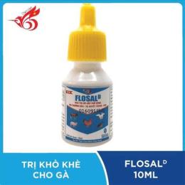 thuốc gà đá gấu vàng