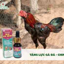 thuoc nho ga da tot nhat hien nay