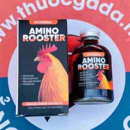 thuốc nuôi gà đá amino complex