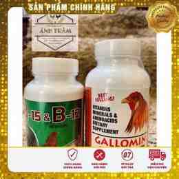 thuốc nuôi gà đá gallomin