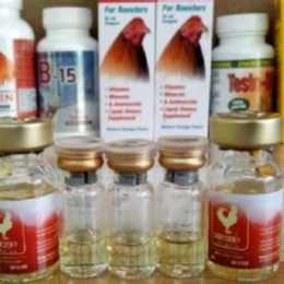 thuoc nuoi ga da king power