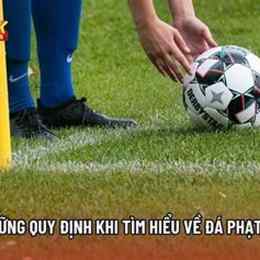 tìm hiểu về đá gà