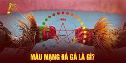 tính năng nổi bật 80 mau mang ga da