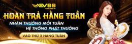 tính năng nổi bật aev99 đá gà