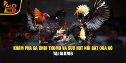 tính năng nổi bật alo789 đá gà thomo định nhất việt nam