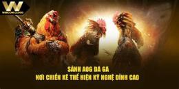 tính năng nổi bật aog đá gà