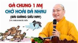 tính năng nổi bật bài hát gà chung một mẹ chớ hoài đá nhau