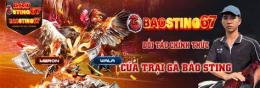 tính năng nổi bật baosting đá gà