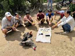 tính năng nổi bật bắt đá gà bình minh
