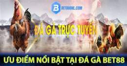 tính năng nổi bật bet88 đá gà bet88pro.one
