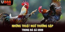 tính năng nổi bật các thuật ngữ đá gà