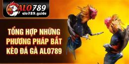 tính năng nổi bật cách bắt kèo đá gà
