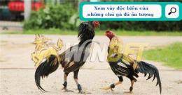 tính năng nổi bật cach coi chan ga da