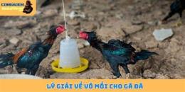tính năng nổi bật cách vô mồi cho gà đá
