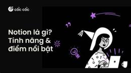 tính năng nổi bật cám gạo dưỡng da
