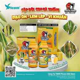 tính năng nổi bật cặp gà sinh đôi đá c3 hôm nay