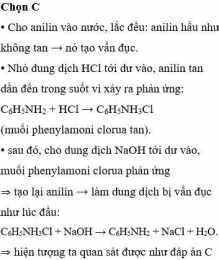 tính năng nổi bật câu tục ngữ chó ăn đá gà ăn sỏi