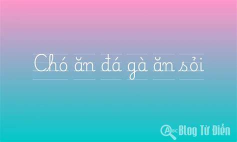 tính năng nổi bật chó ăn đá gà ăn sỏi là thành ngữ