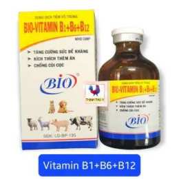 tính năng nổi bật công dụng b12 cho gà đá