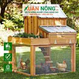 tính năng nổi bật đã dựng xong ngôi nhà nhỏ cho những chú gà con