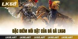 tính năng nổi bật đá gà 10/4