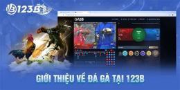tính năng nổi bật đá gà 123b 123b.business