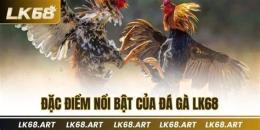 tính năng nổi bật đá gà 20/2