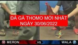 tính năng nổi bật đá gà 30 tháng 6