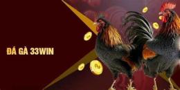 tính năng nổi bật đá gà 33win