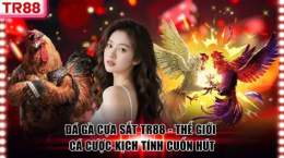 tính năng nổi bật đá gà 360