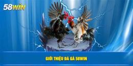 tính năng nổi bật đá gà 58win