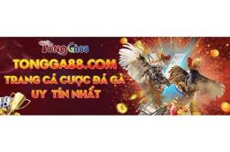 tính năng nổi bật đá gà 88 12 1