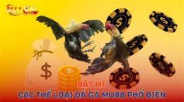 tính năng nổi bật đá gà 88t