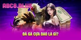 tính năng nổi bật đá gà abc8