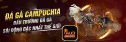 tính năng nổi bật da ga alo789 alo789