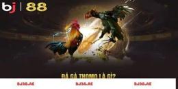 tính năng nổi bật đá gà bj27