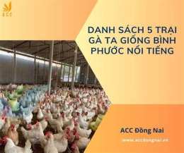 tính năng nổi bật đá gà bồ thường phước
